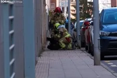 Buitre en Soria Capital / Cirilo Vargas