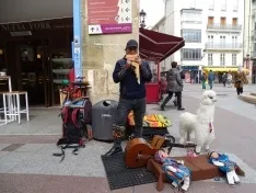 Foto 3 - De &rsquo;Got Talent&rsquo; a Soria, la m&uacute;sica callejera viaja a sus espaldas