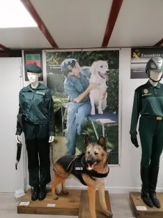 Foto 4 - Galer&iacute;a: presentada la exposici&oacute;n de uniformes militares espa&ntilde;oles con la colecci&oacute;n 'Mujeres de uniforme'