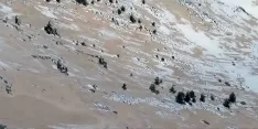 Una de las imágenes de Urbión. /AS