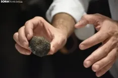 Anthony Burd y Alejandra Antón cocinan juntos el mejor plato de trufa negra del mundo.