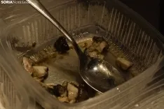 Anthony Burd y Alejandra Antón cocinan juntos el mejor plato de trufa negra del mundo.