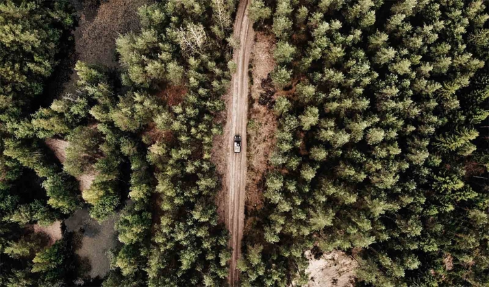 La Junta licita trabajos silvícolas y mejoras del medio natural en la zona de Almazán por 0,7 M€