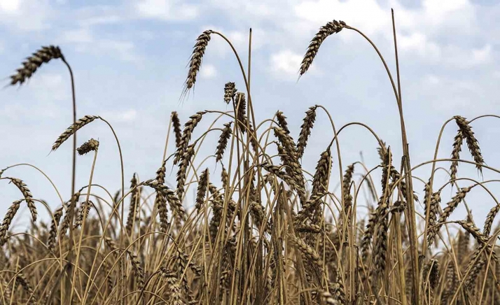 ASAJA ve que las medidas del Gobierno son las urgentes, pero no comprenden todas las importantes