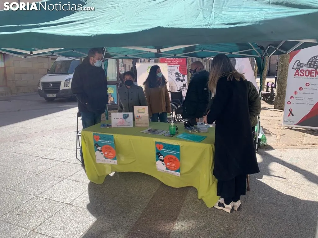 Foto 2 - FADISO muestra en el centro de Soria los problemas de las personas con discapacidad
