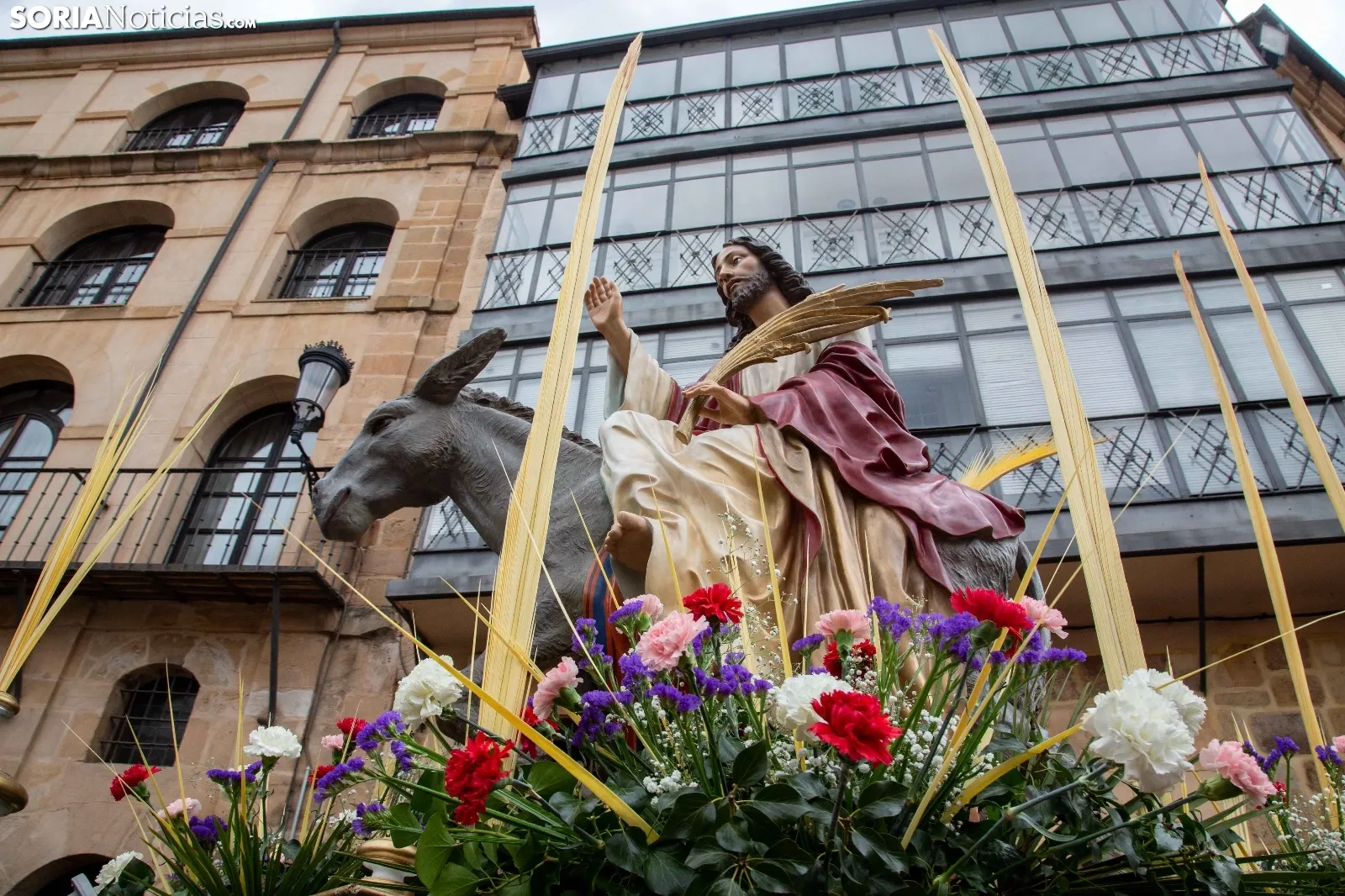 La Borriquilla de Soria 2022 / María Ferrer