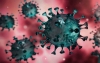 Foto 1 - El sistema inmune en su conjunto restringe la evolución de los virus