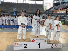 Foto 6 - Los clubes de judo San José y Camaretas triunfan en Palencia