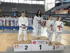 Foto 6 - Los clubes de judo San Jos&eacute; y Camaretas triunfan en Palencia