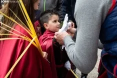La Borriquilla de Soria 2022 / María Ferrer