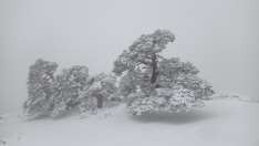 Imágenes de la nevada./ Fotos: Agustín Sandoval.