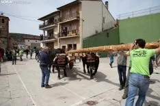 Cabrejas pinga su Mayo / María Ferrer