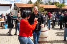 Soriabaila 'salsea' en Almazán / María Ferrer