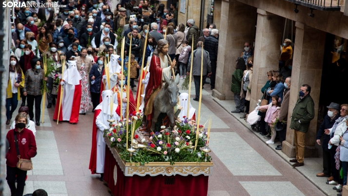 GALERÍA: La Borriquilla llena de color el día más alegre de la Semana Santa de Soria