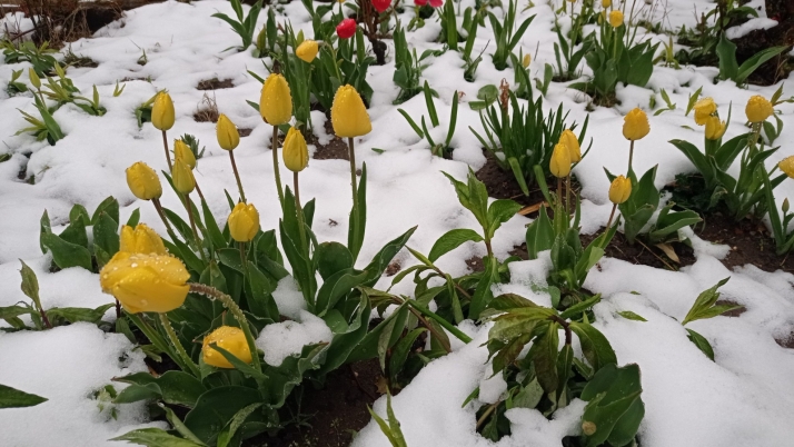 Los datos de una nevada histórica en Urbión