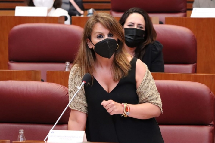 El PSOE lamenta la involución de la Junta en materia de violencia de género