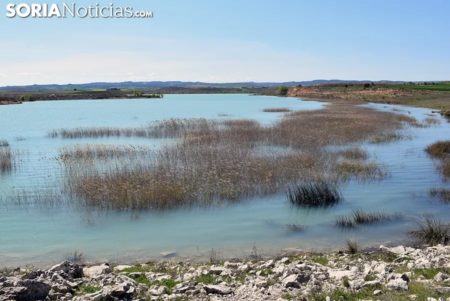Foto 11 - El embalse de Monteagudo, en todo su esplendor