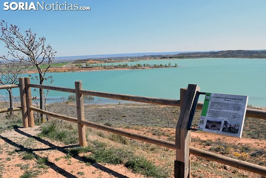 Foto 9 - El embalse de Monteagudo, en todo su esplendor