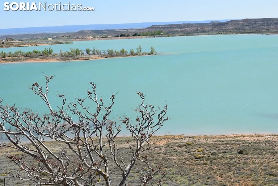Foto 7 - El embalse de Monteagudo, en todo su esplendor