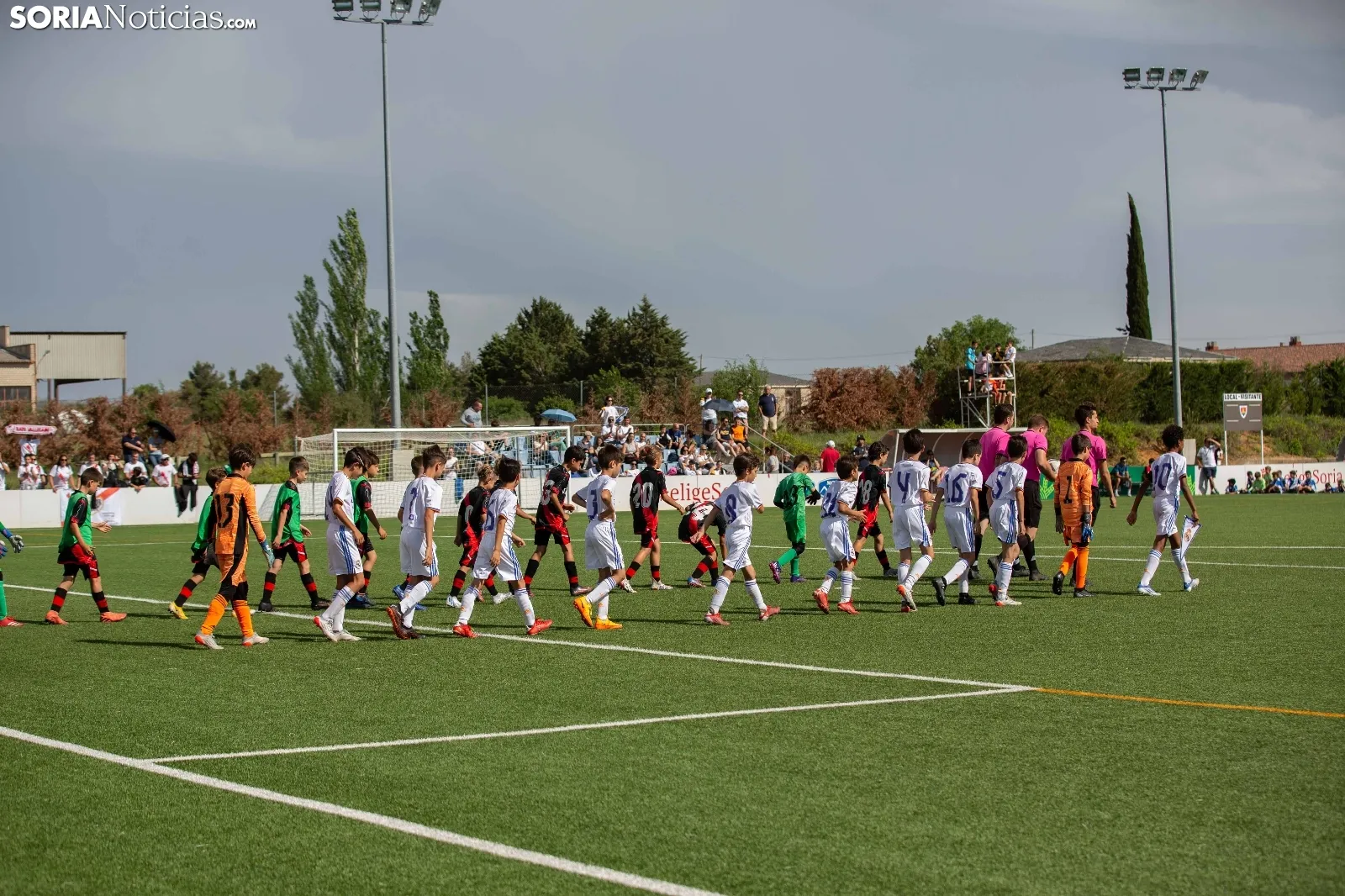 Torneo Elige Soria / Maria Ferrer