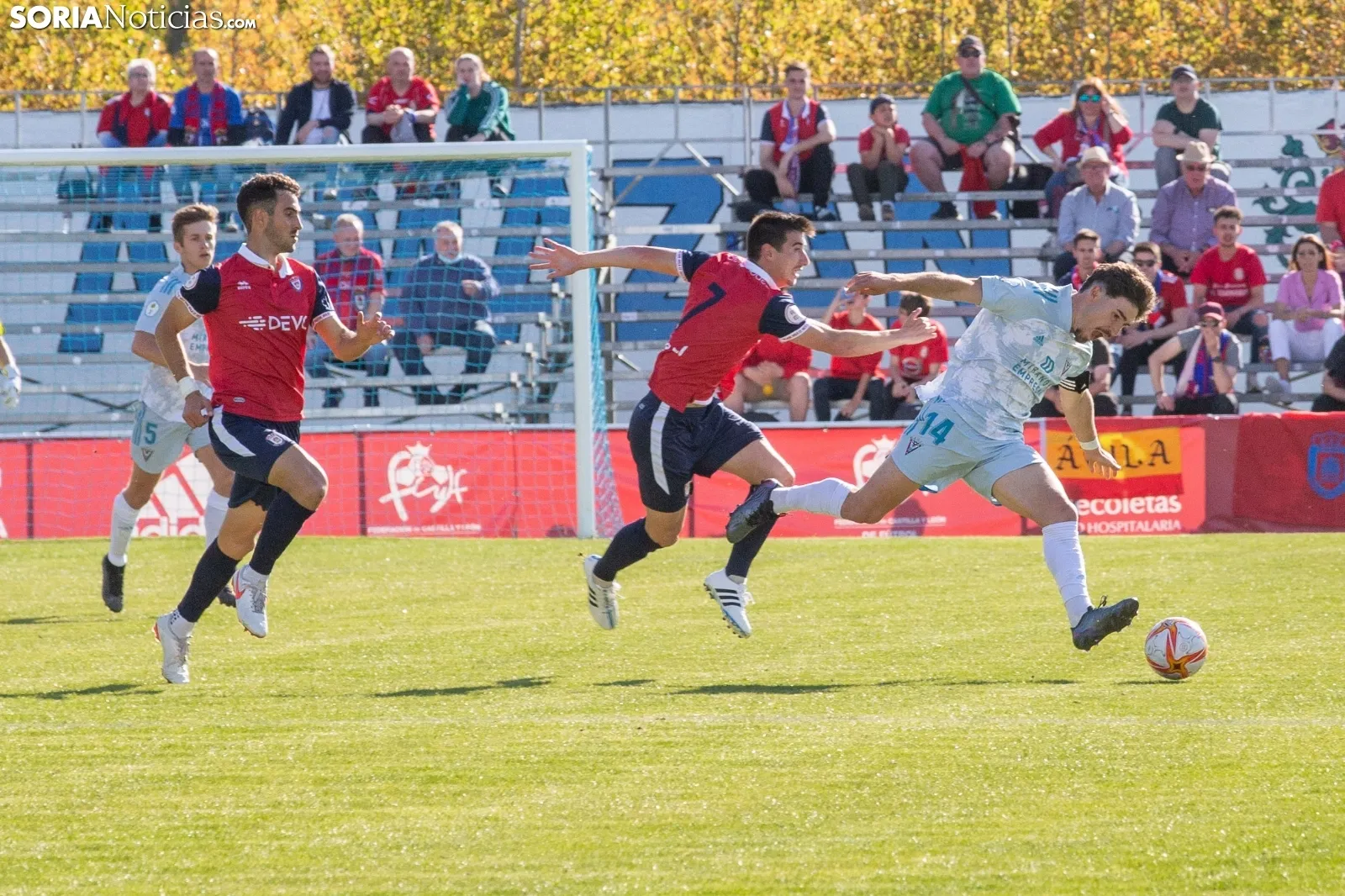 Ávila-Mirandés B / María Ferrer