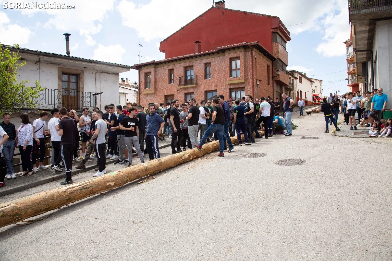 Pingada San Leonardo / María Ferrer