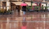En la capital las precipitaciones constatadas oficialmente llegaban a los 3,6 litros por metro cuadrado. /Cirilo Vargas