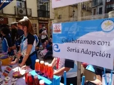 Una imagen de la plaza del Rosel hoy en la capital. /SN