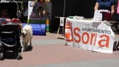 El ambiente de la II Feria de Mascotas. /SN