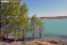 Foto 10 - El embalse de Monteagudo, en todo su esplendor