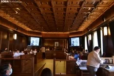 Pleno de Presupuestos Infantiles 2022