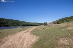 El Ejército en Pinares / Maria Ferrer
