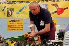 Feria de Almazán / Cirilo Vargas