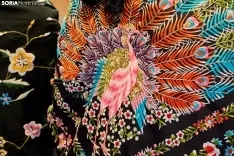 Feria de Almazán / Cirilo Vargas