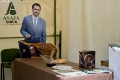 Feria de Almazán / Cirilo Vargas