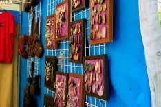 Feria de Almazán / Cirilo Vargas
