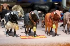 Feria de Almazán / Cirilo Vargas