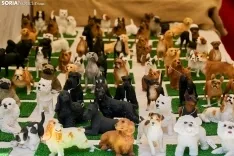 Feria de Almazán / Cirilo Vargas