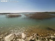 Foto 5 - El embalse de Monteagudo, en todo su esplendor