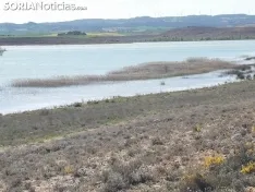 Foto 4 - El embalse de Monteagudo, en todo su esplendor