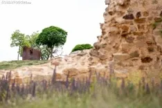 Aspecto actual de la muralla medieval de Soria, ya recuperada en un tramo de dos kilómetros, entre el puente de piedra y El Mirón.  FOTOS: MARÍA FERRER
