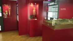 Museo de Augustóbriga en Muro. /TITO CARAZO Y MV.