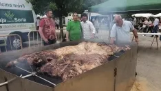 Foto 6 - ASAJA apoya como todos los a&ntilde;os la Feria de Almaz&aacute;n y en esta 60 edici&oacute;n organiza el asado de una ternera