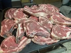 Primeras Jornadas de la Vaca Serrana Negra Soriana