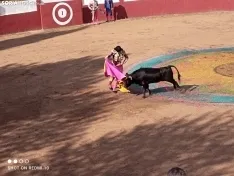 Una imagen de la tarde taurina hoy en Quintana. /SL