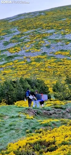 Foto 18 - Fotos: la Asociaci&oacute;n Amigos del Moncayo sube al Moncayo una Virgen de los Milagros de chapa