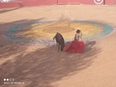 Una imagen de la tarde taurina hoy en Quintana. /SL
