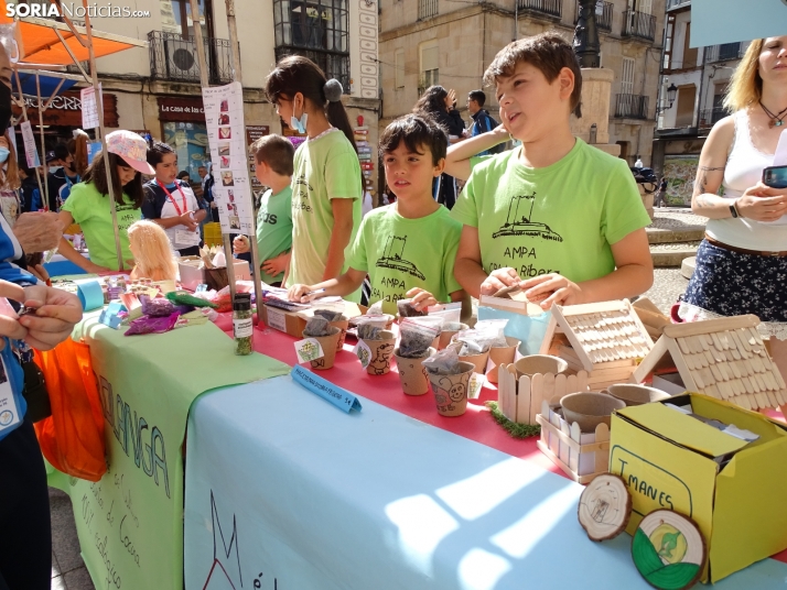 Los escolares sorianos venden su ingenio