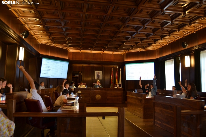 Fotos: Soria contará con una pista para coches teledirigidos gracias al Pleno de Presupuestos Infantiles