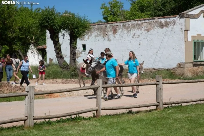 Volteo Western Golmayo 2022 / María Ferrer